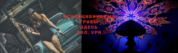 индика Зеленокумск