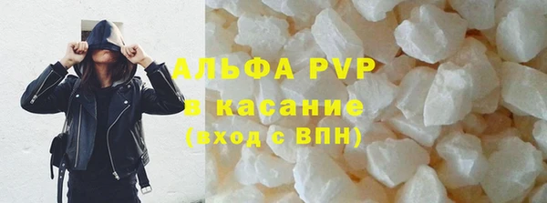индика Зеленокумск