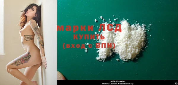 индика Зеленокумск