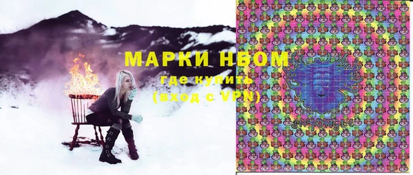 индика Зеленокумск