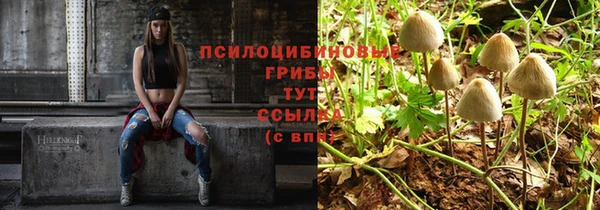 a pvp Зеленодольск
