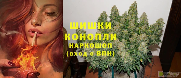 индика Зеленокумск