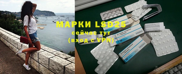 индика Зеленокумск