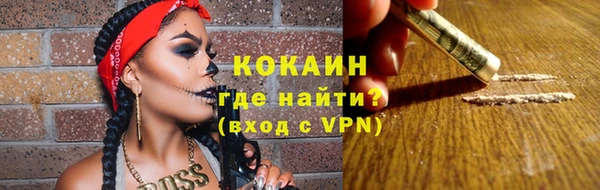индика Зеленокумск