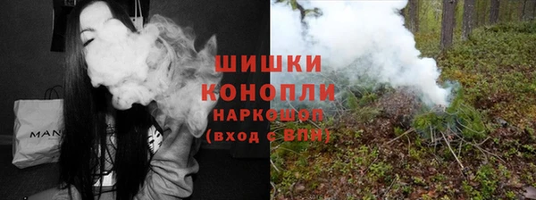 индика Зеленокумск