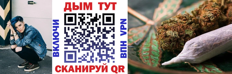 Купить закладки  Жиздра  МАРИХУАНА SATIVA & INDICA 